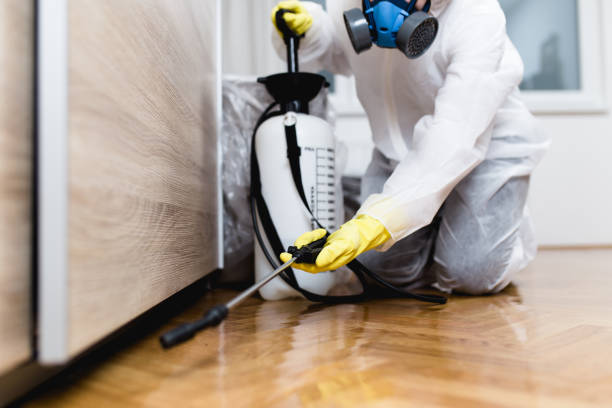Best Exterminator Services  in Fairway, KS