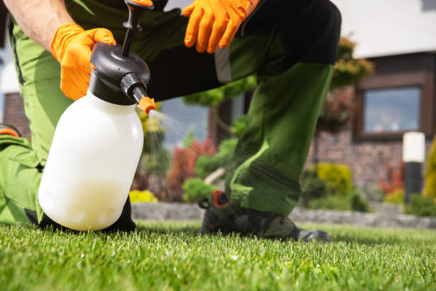 Best Pest Prevention Services  in Fairway, KS