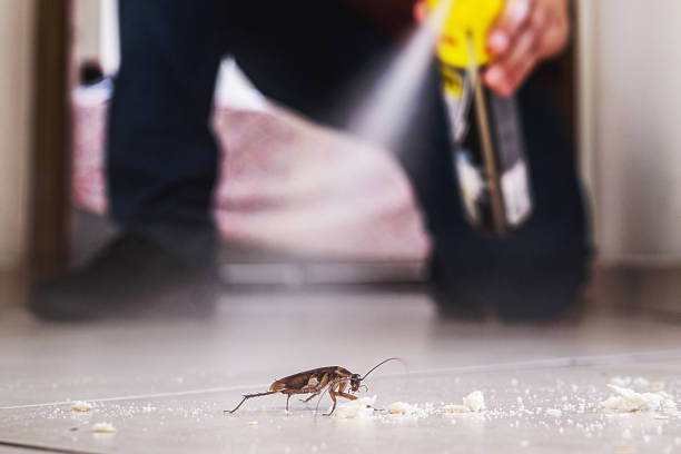 Best Local Pest Control Services  in Fairway, KS