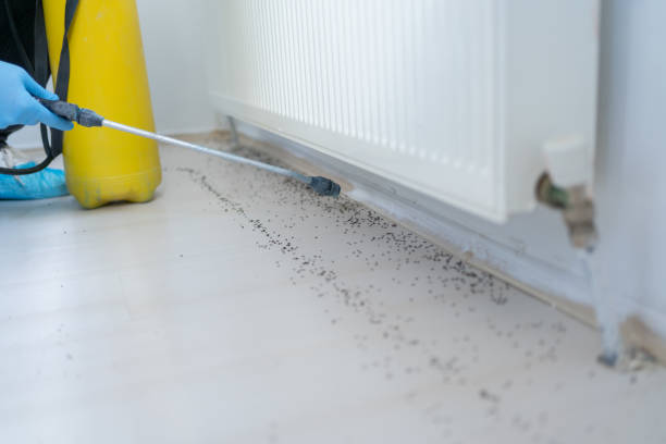 Best Cockroach Control Services  in Fairway, KS