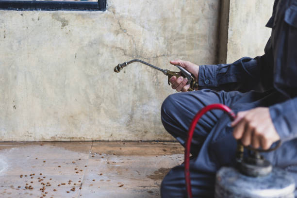 Best Best Pest Control Companies  in Fairway, KS