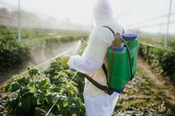 Best Bed Bug Extermination  in Fairway, KS